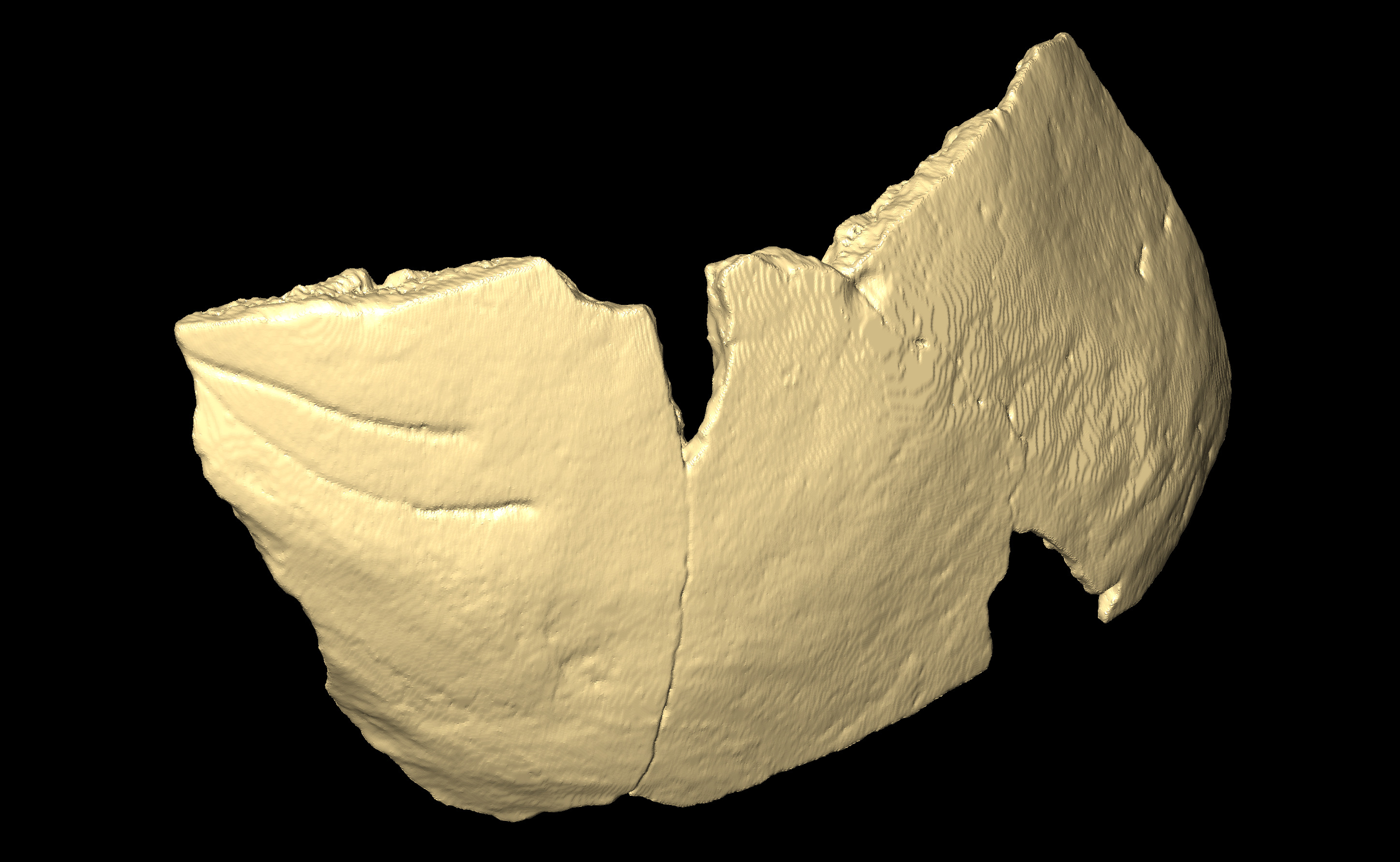 MNHN-HA-4259 (N° SV: 4259-voute-CM4) Cranium